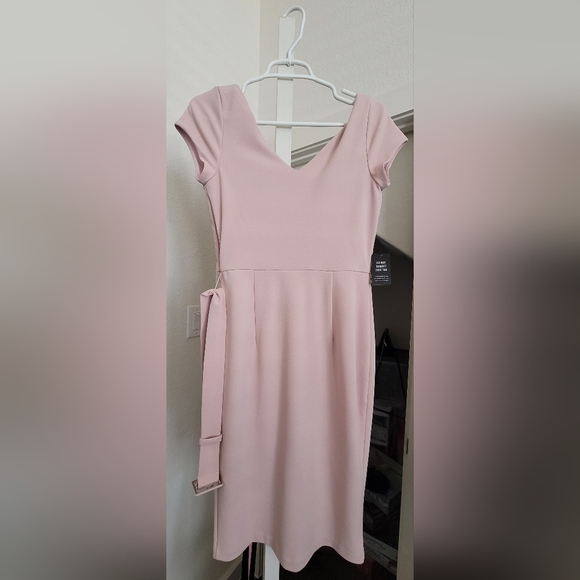 Express Pink Dress - Picture 2 of 3